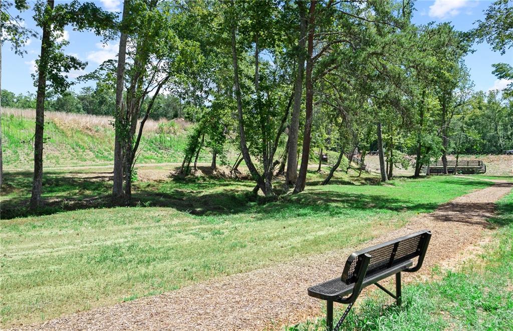 1676 Branch Creek Dr-lot 110 Property Photo 19