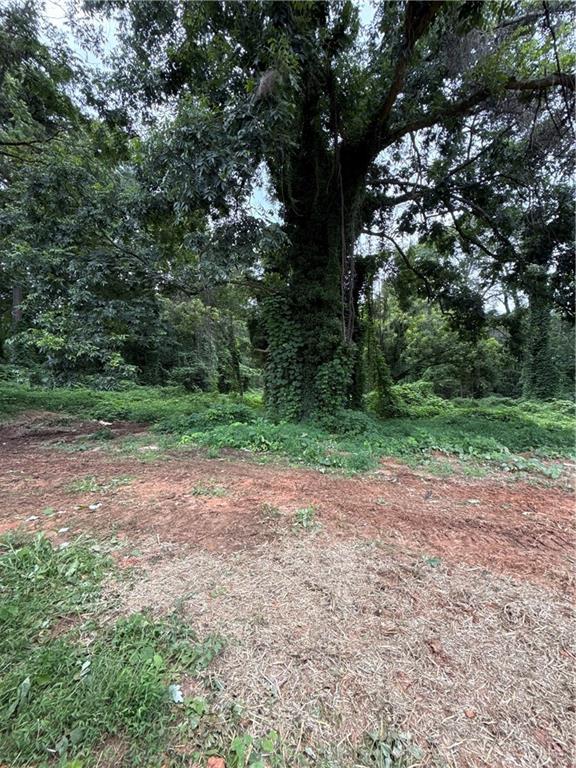 80 Elberton Street Property Photo 8