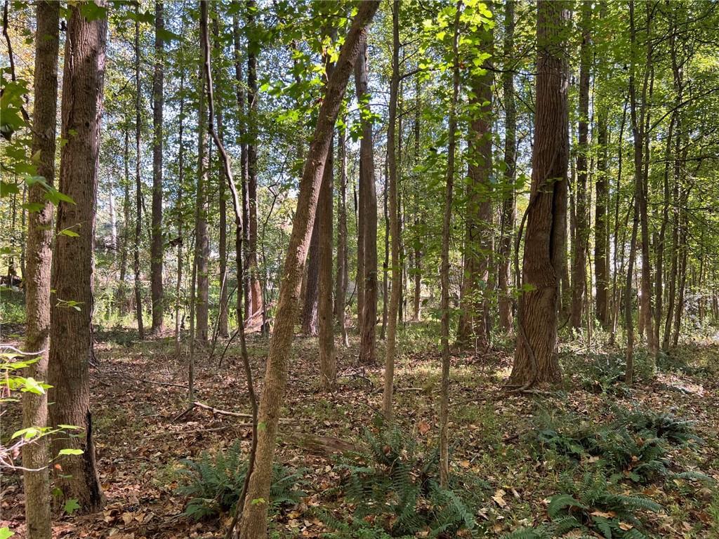 5334 Pounds Drive N Property Photo 5