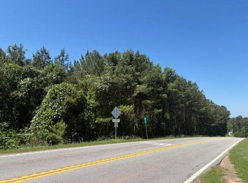7059 Hwy 81 - Tract 3 Property Photo 6