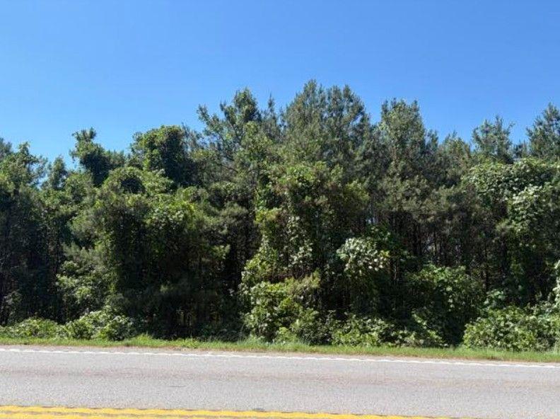 7059 Hwy 81 - Tract 3 Property Photo 7