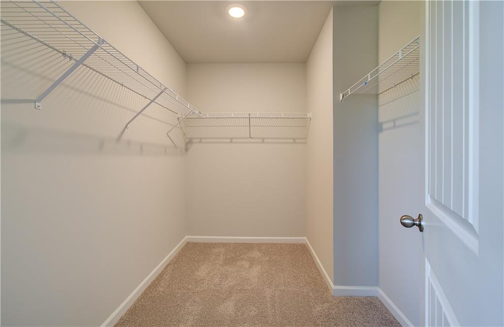 176 Dalston Cove Property Photo 22