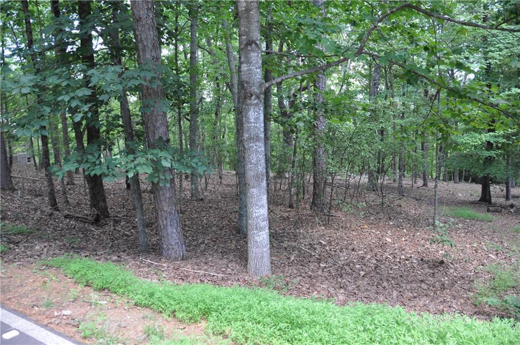 2468 Wedgewood Drive Property Photo 1