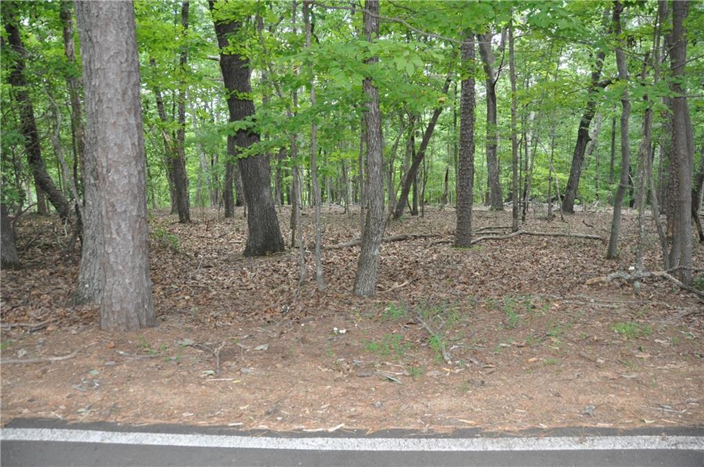 2468 Wedgewood Drive Property Photo 2