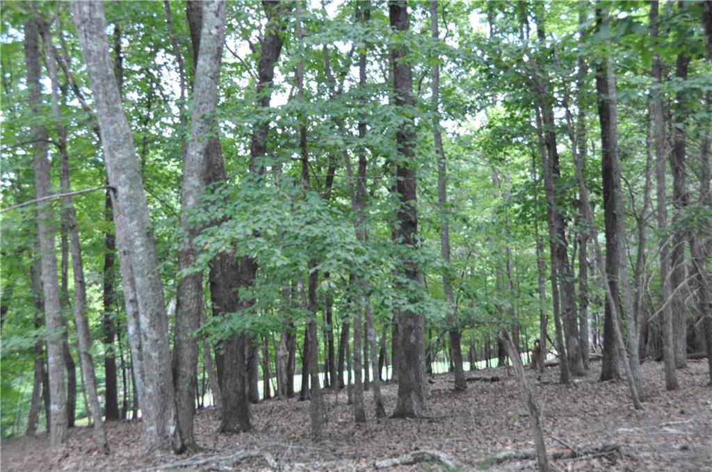2468 Wedgewood Drive Property Photo 3
