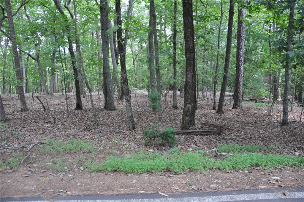 2468 Wedgewood Drive Property Photo 4