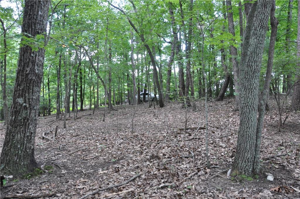 2468 Wedgewood Drive Property Photo 7