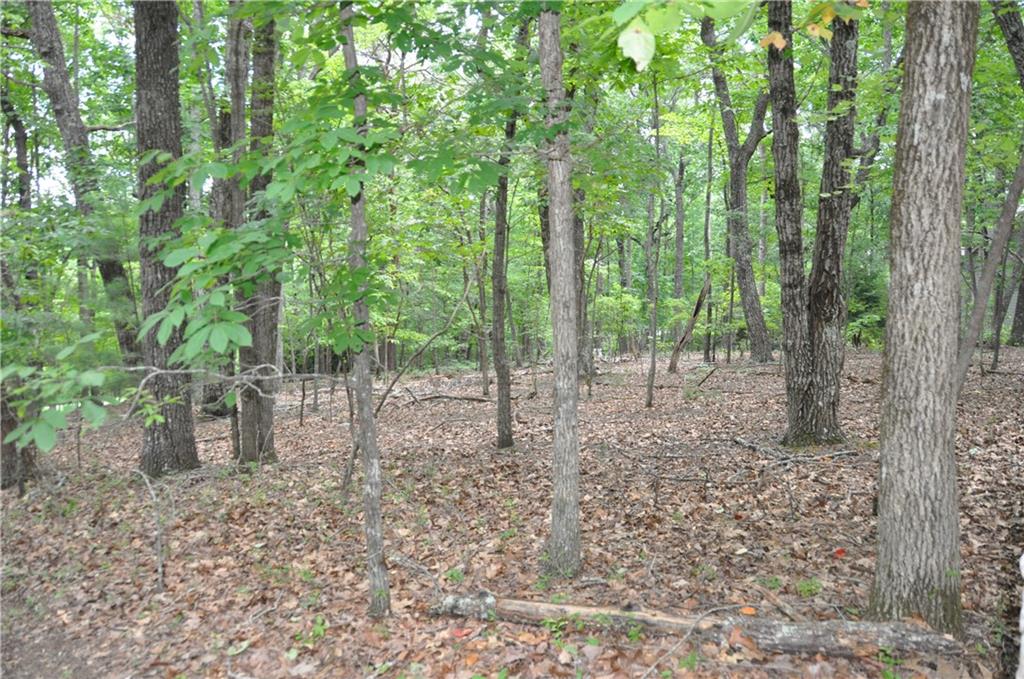 2468 Wedgewood Drive Property Photo 10