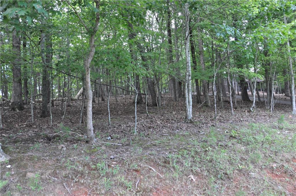 2468 Wedgewood Drive Property Photo 12