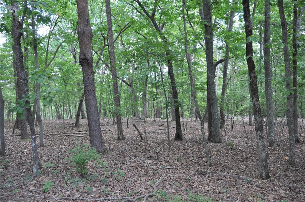 2468 Wedgewood Drive Property Photo 15