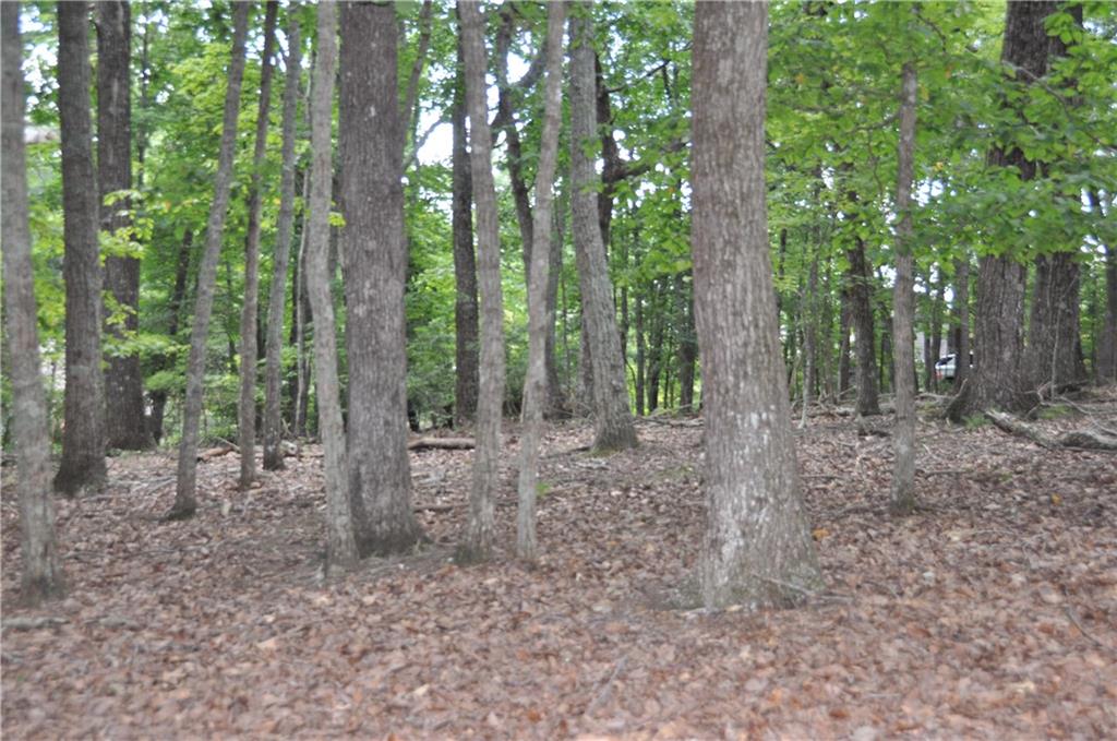 2468 Wedgewood Drive Property Photo 18
