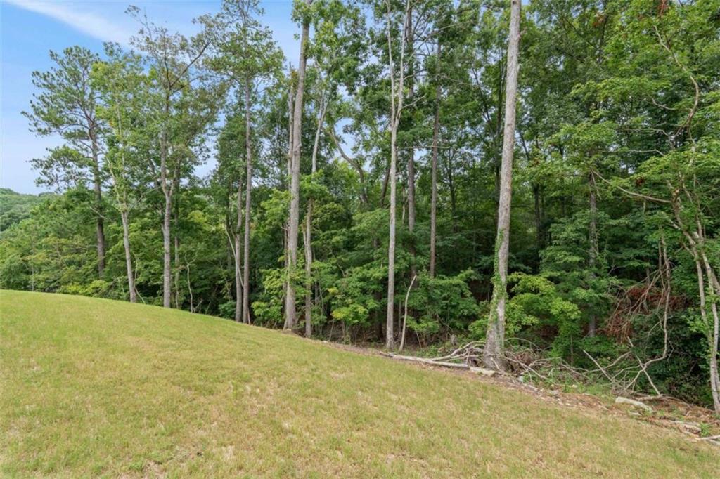149 Silvercrest Drive Property Photo 56