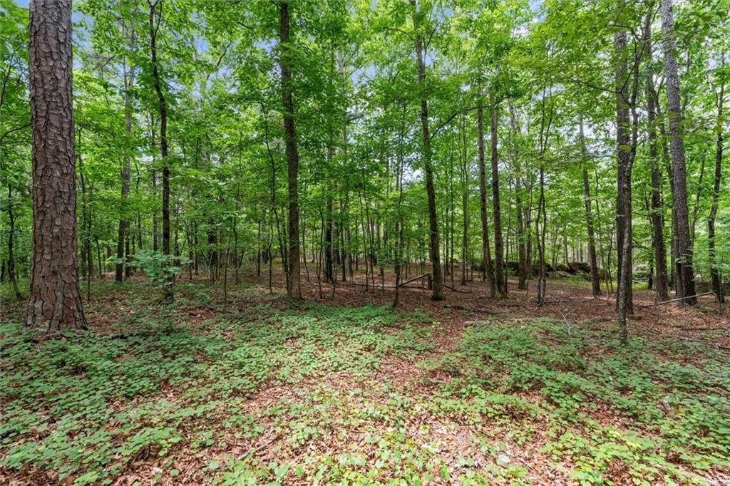 7815748 Property Photo 33