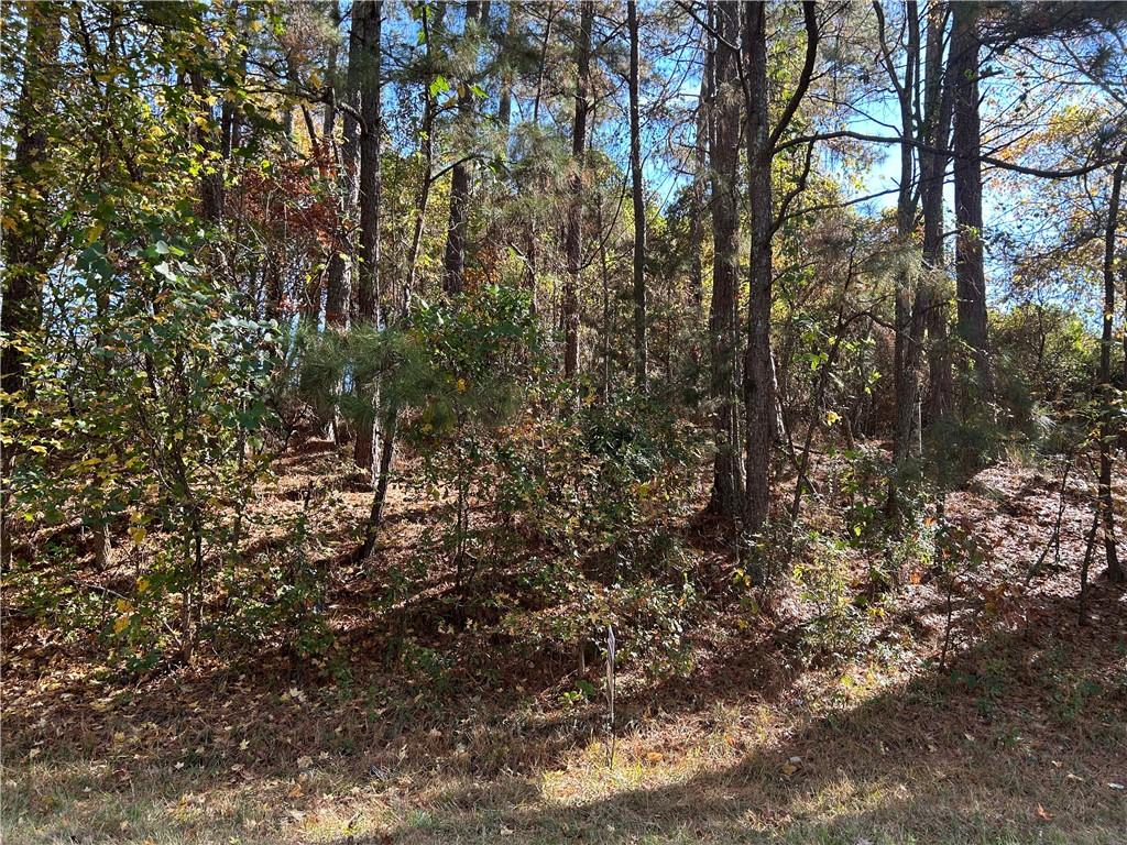 2090 Lee Peters Road Property Photo 1