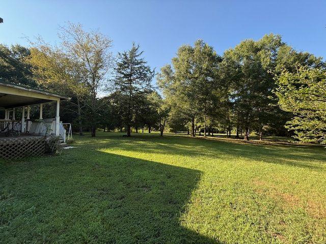 476 Berry Road Property Photo 6