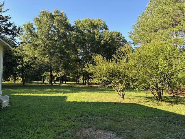 476 Berry Road Property Photo 17