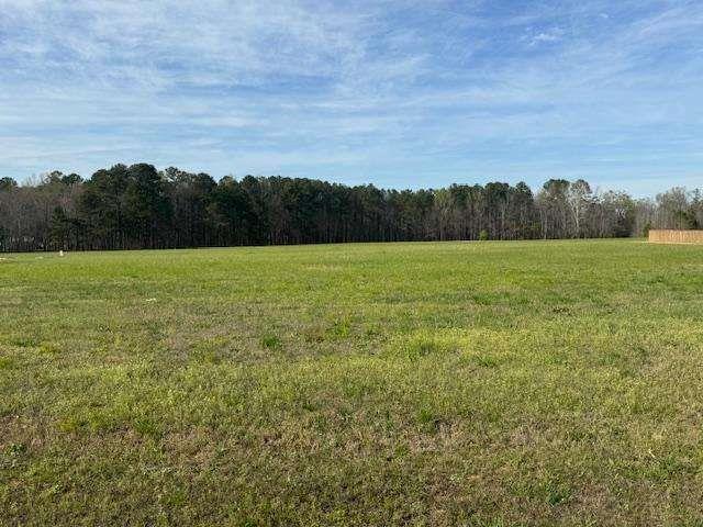 0 County Road 580 Property Photo 1
