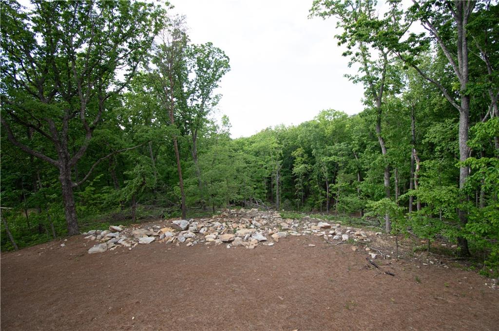 386 Mulberry Circle Property Photo 42