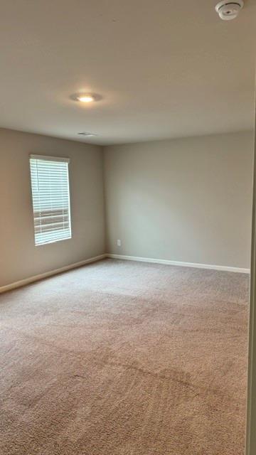 3604 Wartrace Drive Property Photo 15