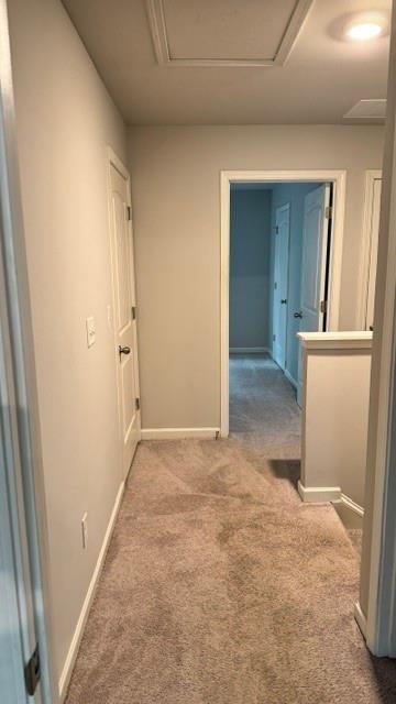 3604 Wartrace Drive Property Photo 16