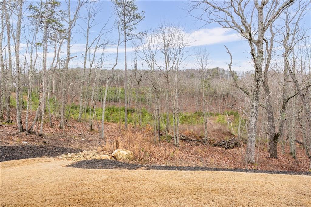 265 Fountain Oak Way Property Photo 51