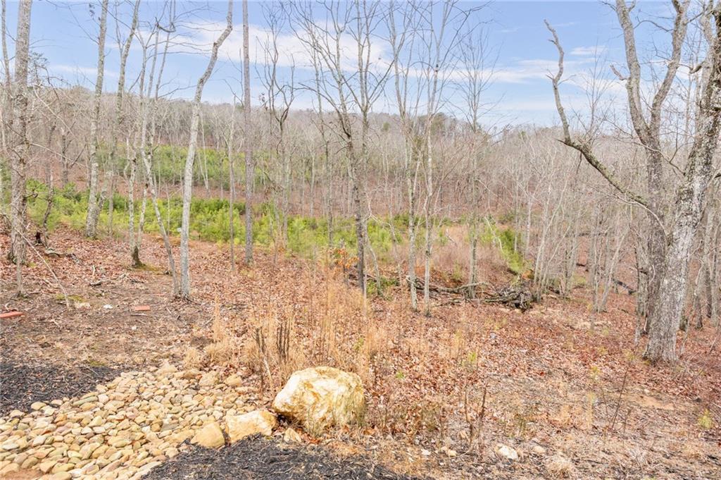 265 Fountain Oak Way Property Photo 52