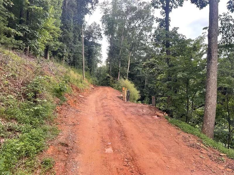 Lot 11 Firetower Road Property Photo 4