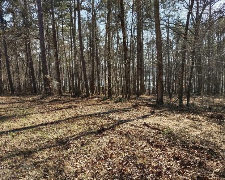 12425 Panhandle Road Property Photo 3