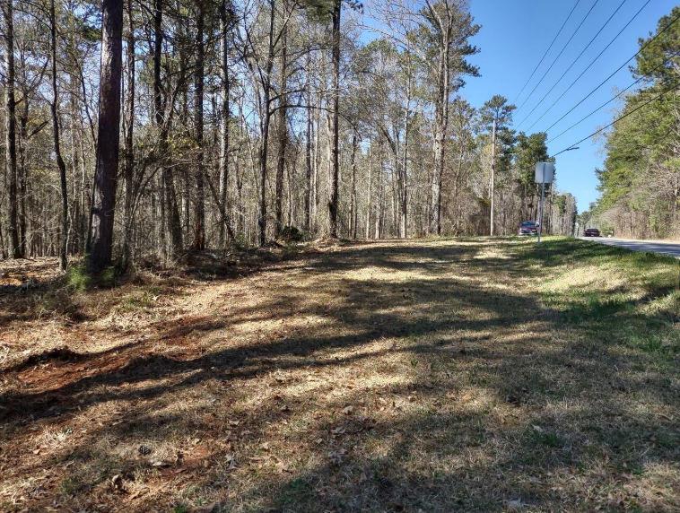 12425 Panhandle Road Property Photo 4