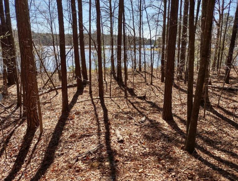 12425 Panhandle Road Property Photo 5