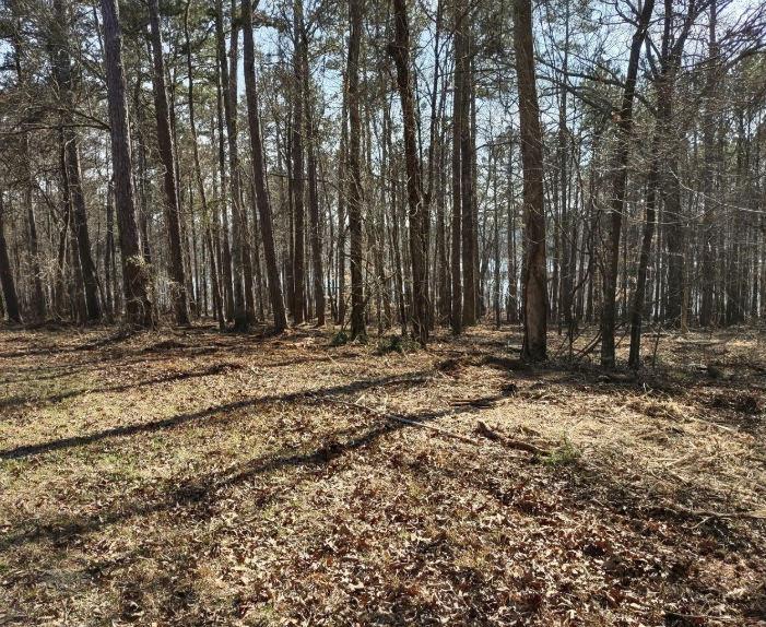 12425 Panhandle Road Property Photo 6