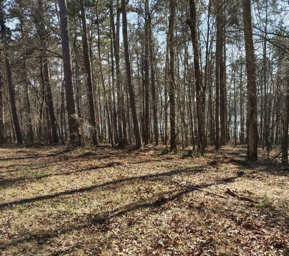 12425 Panhandle Road Property Photo 7