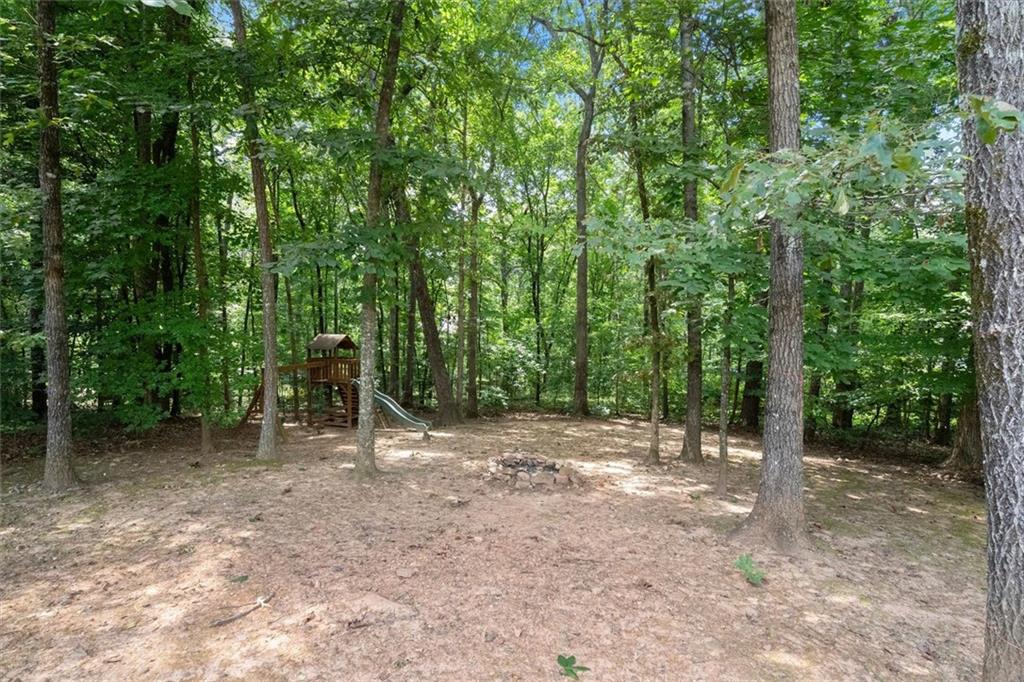 4535 Manor Creek Drive Property Photo 46