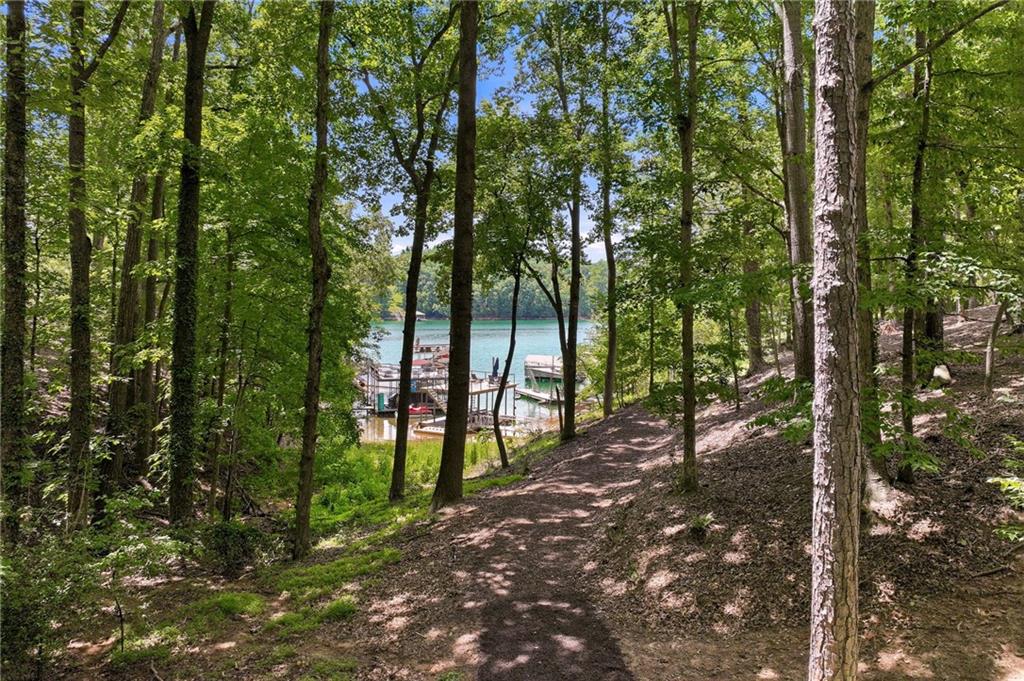 5973 Nachoochee Trail Property Photo 48