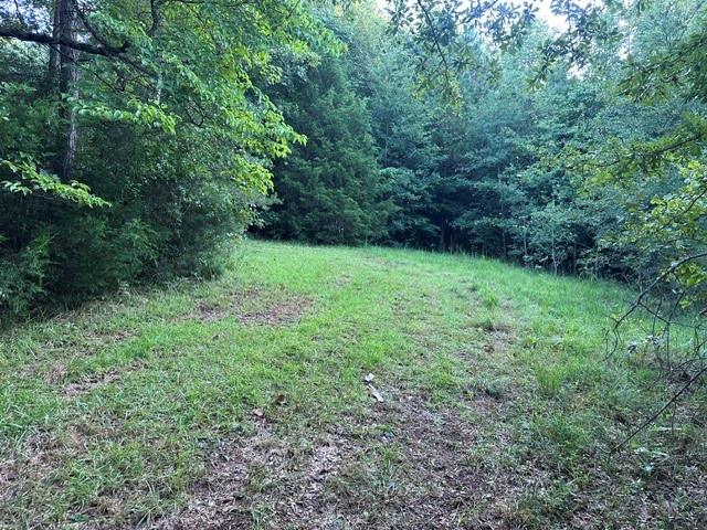 1069 Harbert Valley Road Property Photo 4