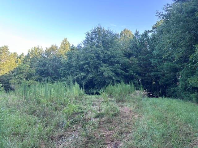 1069 Harbert Valley Road Property Photo 5