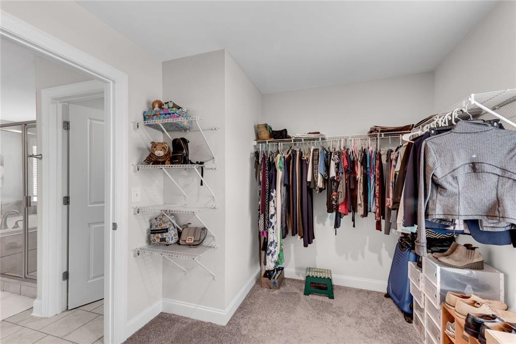 3087 Mountain Shadow Way Property Photo 28