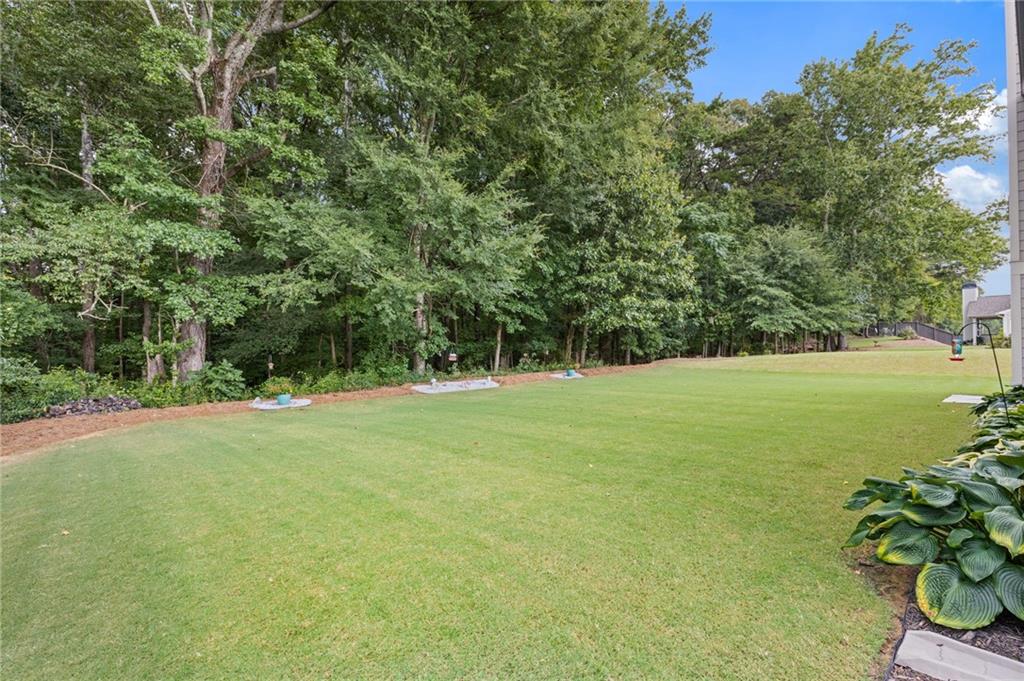 557 Rocky Springs Drive Property Photo 46