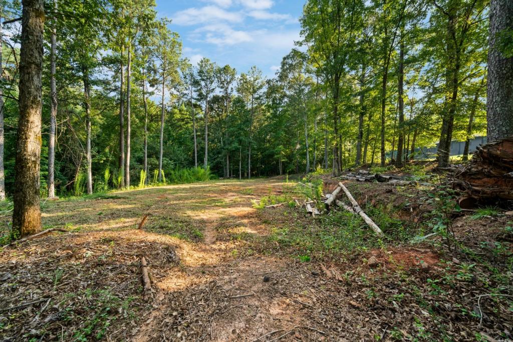 280 Etheridge Road Property Photo 68