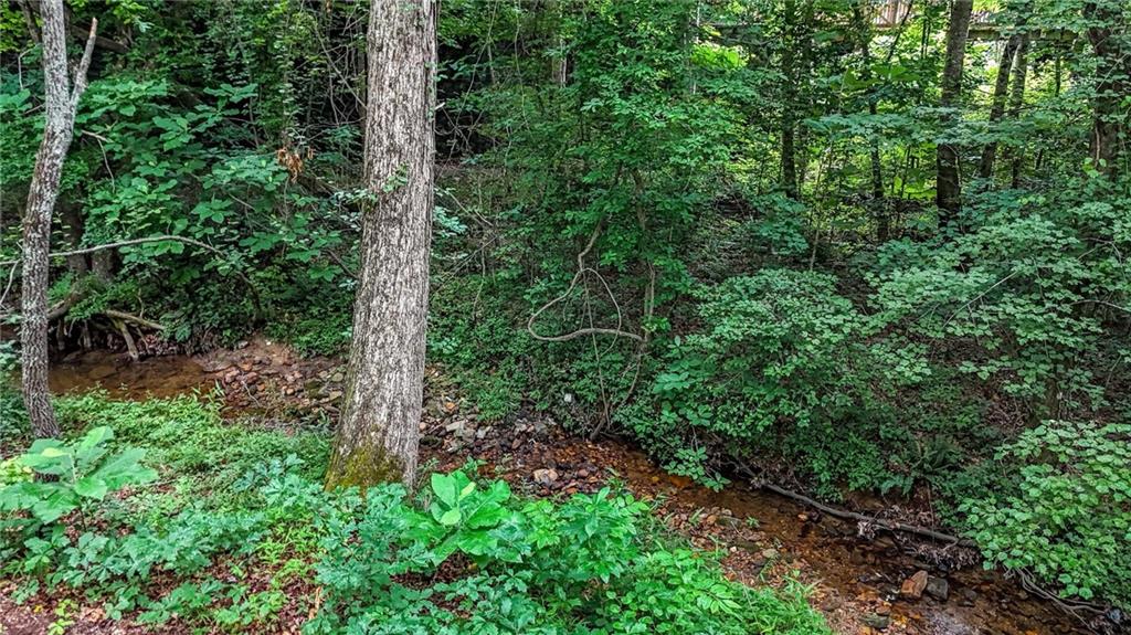 120 Longleaf Drive Property Photo 55