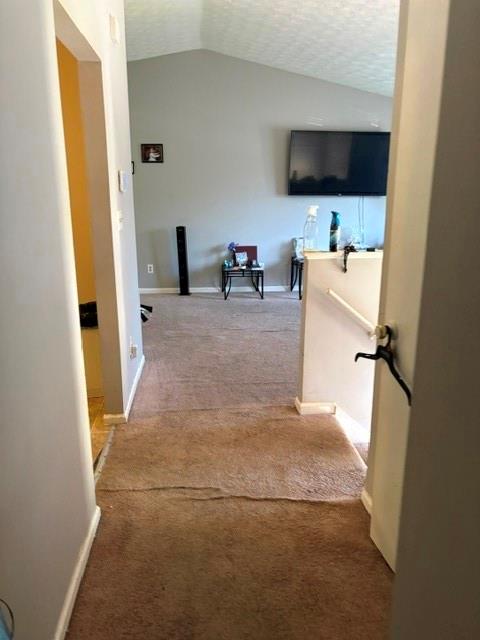 355 Lori Lane Property Photo 11