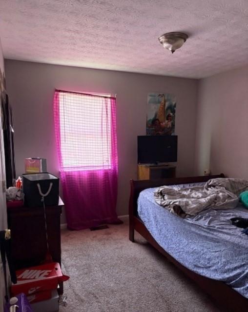 355 Lori Lane Property Photo 12