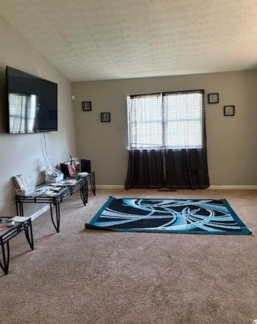 355 Lori Lane Property Photo 14