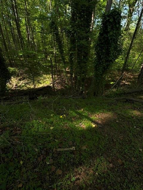 355 Lori Lane Property Photo 17