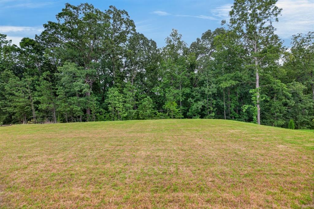180 Pickens Bluff Lane Property Photo 41