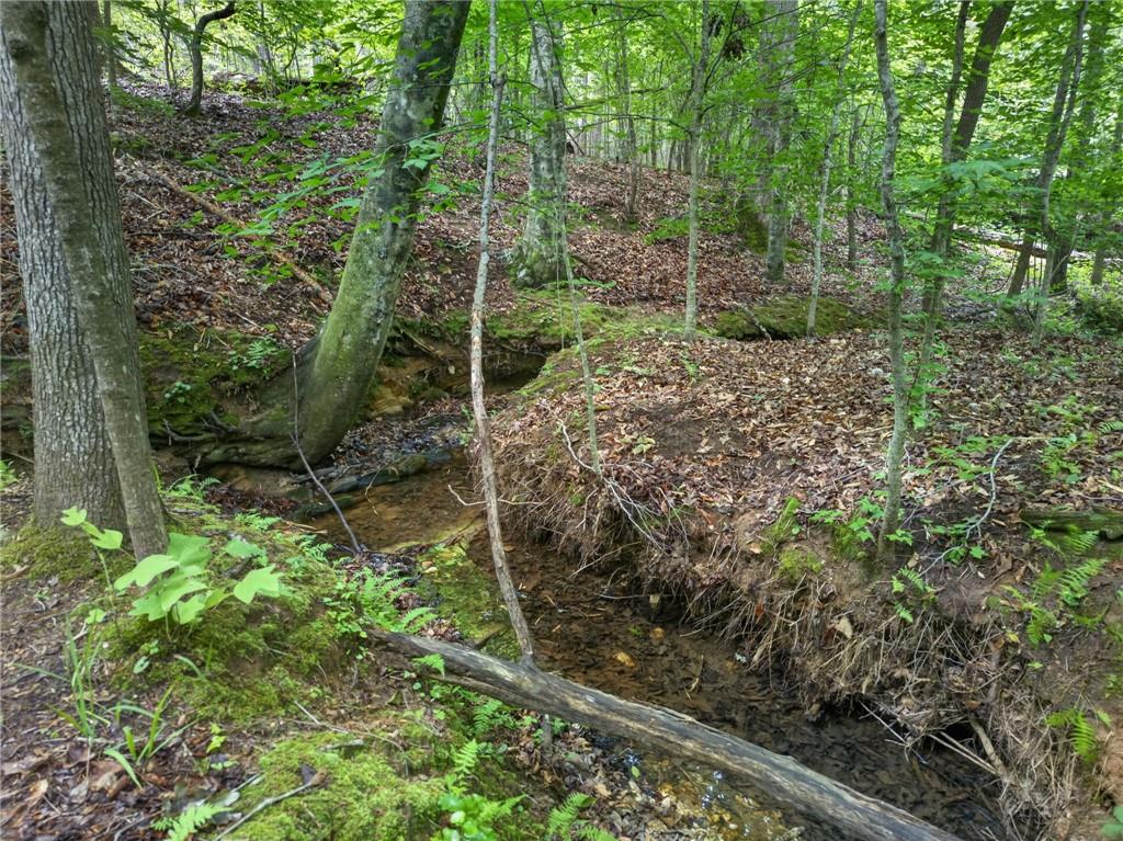 3512 Vinson Mountain Road Property Photo 48