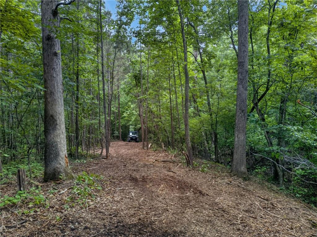 3512 Vinson Mountain Road Property Photo 51