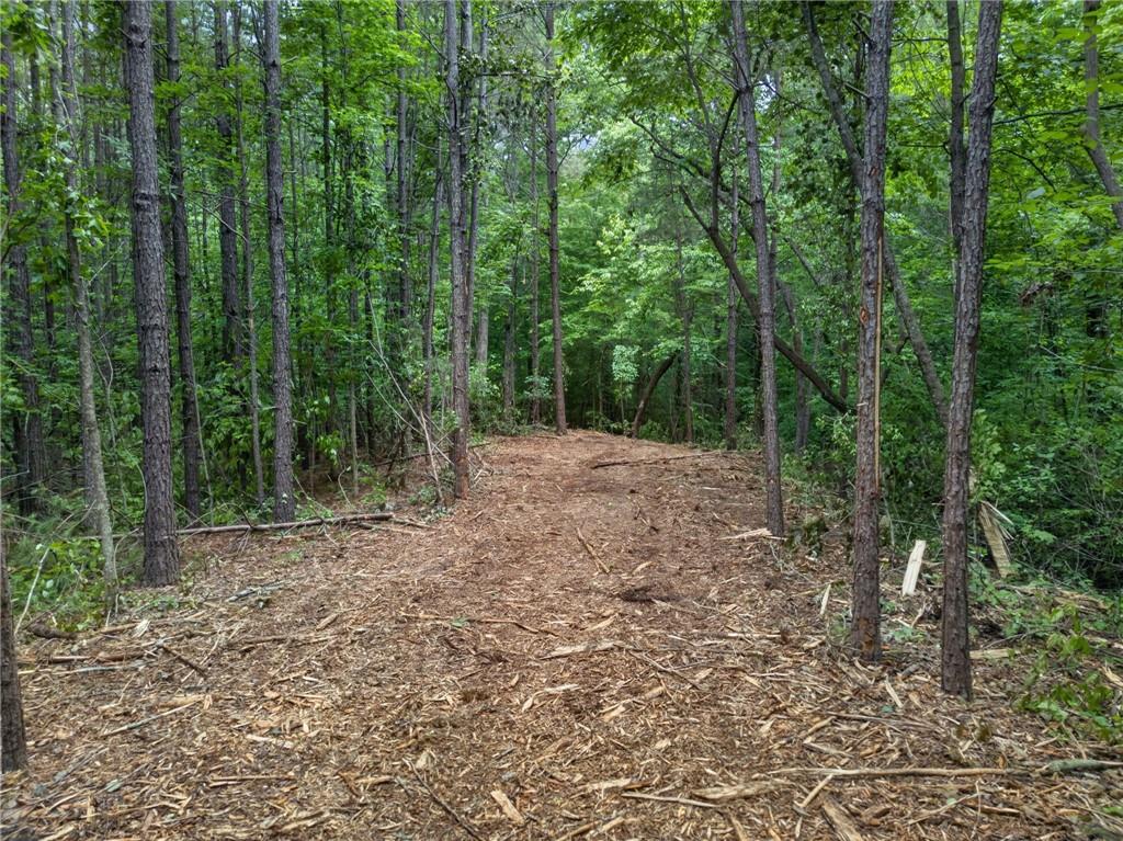 3512 Vinson Mountain Road Property Photo 53