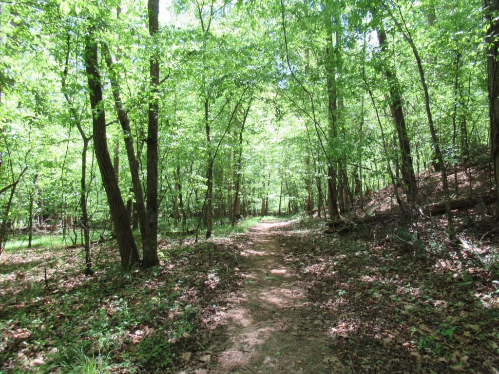 0 Chestatee Drive Property Photo 1