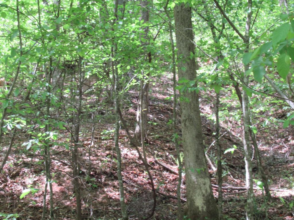 0 Chestatee Drive Property Photo 4